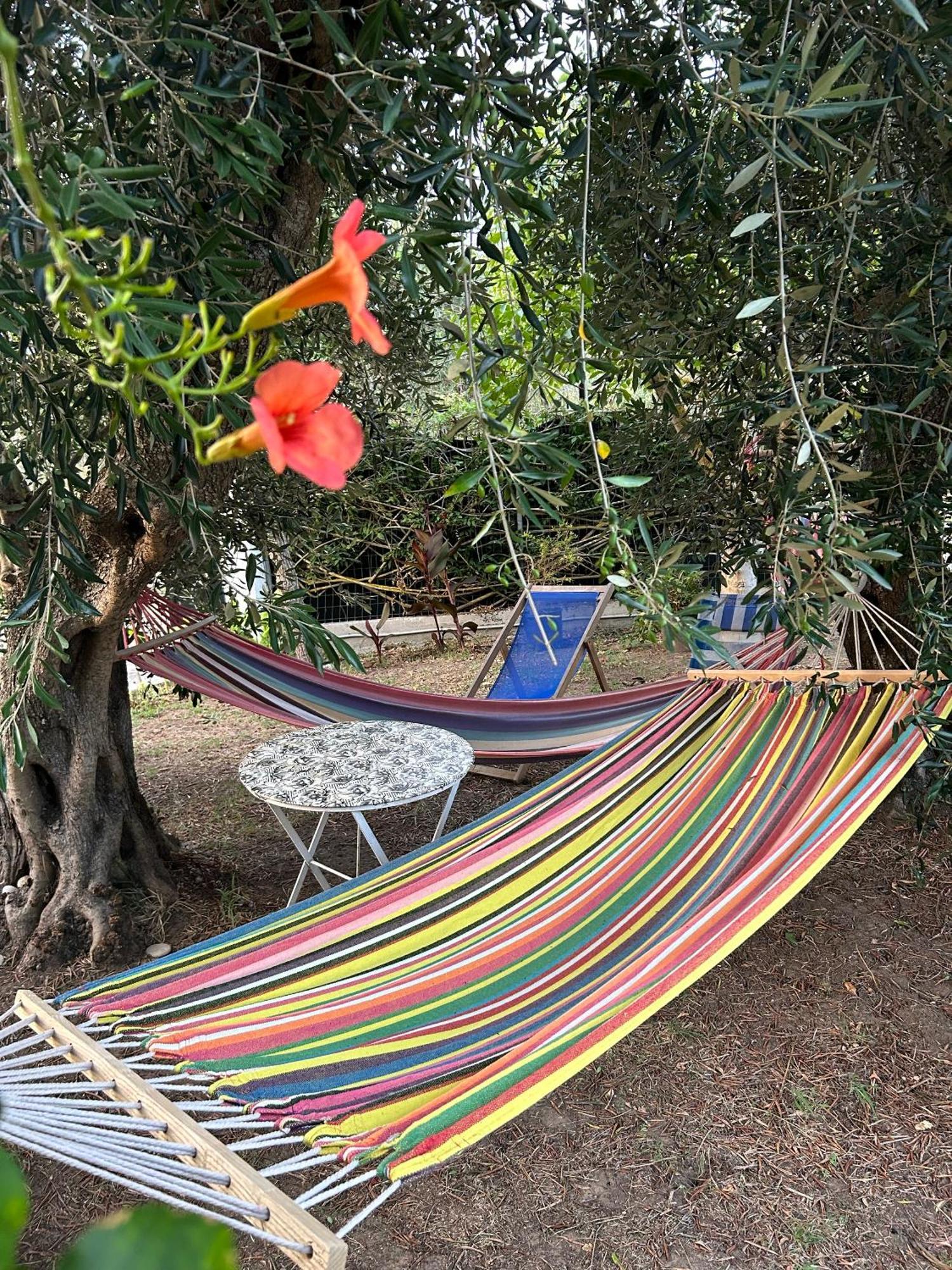 Villa Katerina In CΧαλικούνας Εξωτερικό φωτογραφία